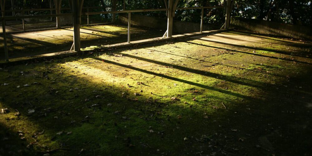 Vogue Pergolas