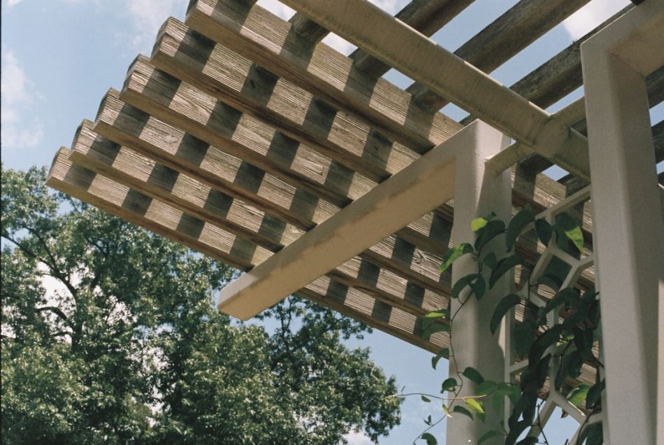 Pergola - green and brown tree