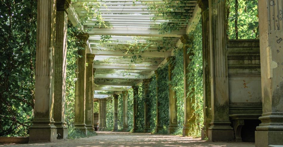 Pergola - Alley of Vines Growing on a Classical Colonnade